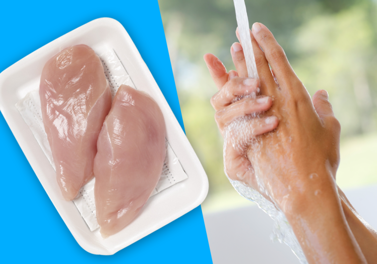 Wash hands, don't wash chicken, campylocbacter, poultry